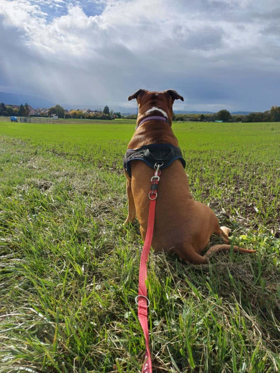 Walk 26