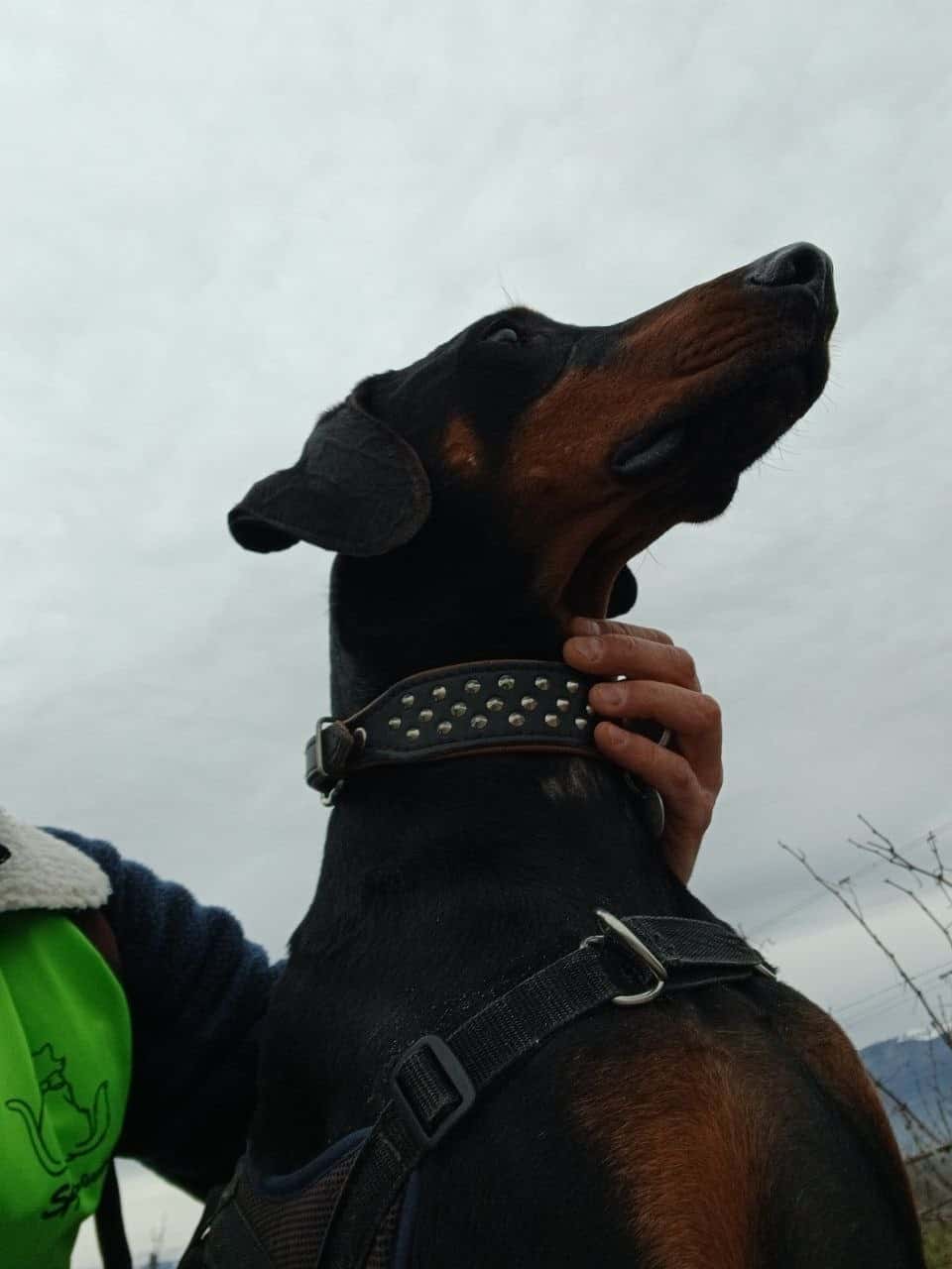 Walk 53
