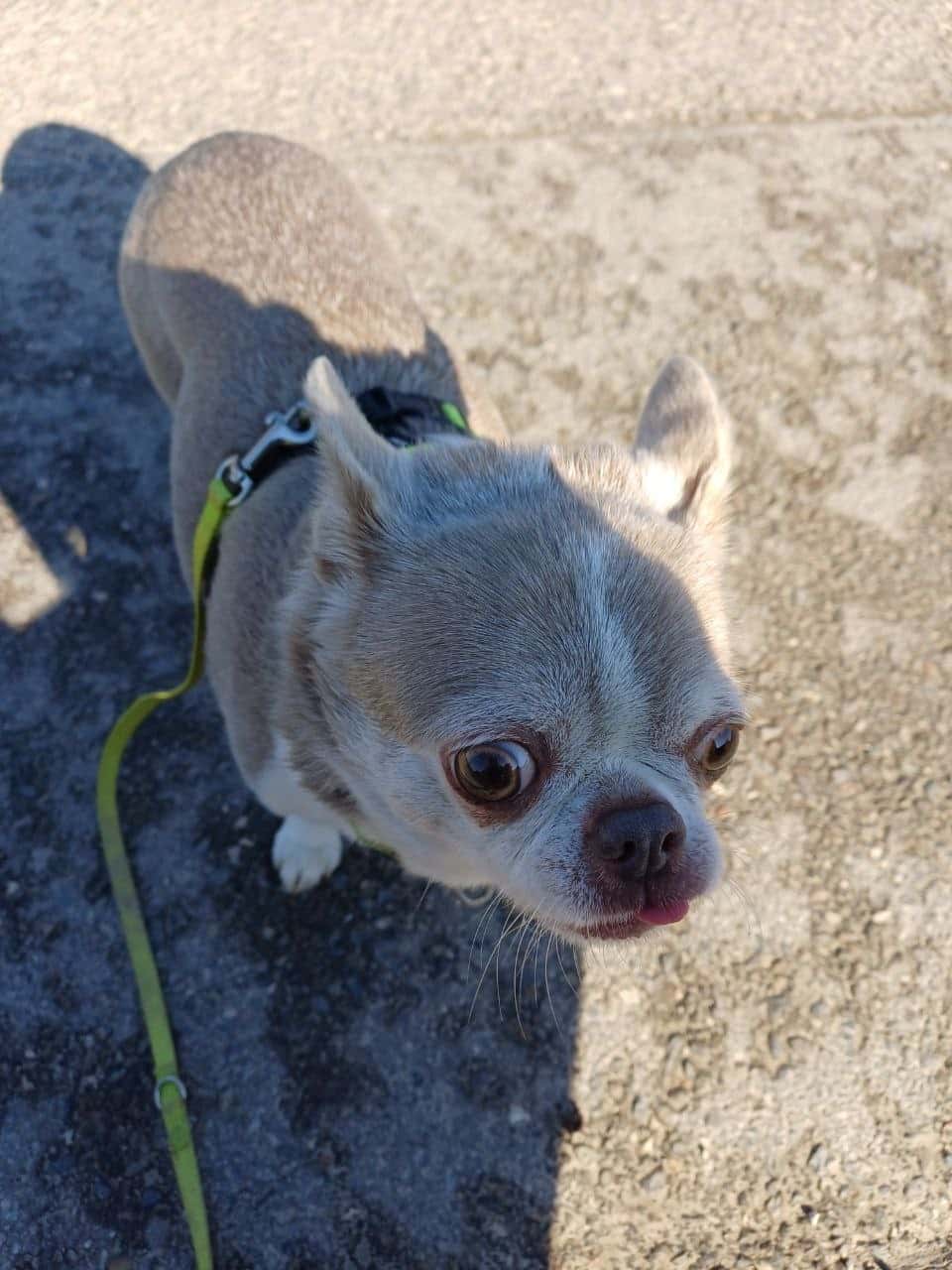 Walk 55